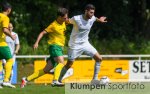 Fussball - Bezirksliga Gr. 4 // BW Dingden vs. SV Friedrichsfeld 08/29