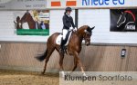 Reitsport | Fruehjahrsturnier | Saison 2023 | Ausrichter RV Rhede