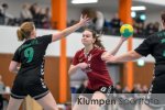 Handball - Landesliga Frauen // TSV Bocholt vs. TV Biefang