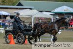 Fahrsport - Niederrheinischer Fahercup // Ausrichter FahrSF Dingdener-Heide