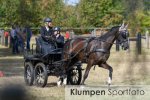 Fahrsport - Niederrheinischer Fahercup // Ausrichter FahrSF Dingdener-Heide