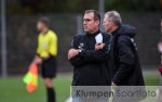 Fussball - Landesliga Gr. 2 // VfL Rhede vs. VfL Toenisberg