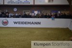 Reitsport - Springpruefungen // RuF Barlo-Bocholt