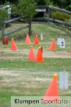 Fahrsport - Niederrheinischer Fahercup // Ausrichter FahrSF Dingdener-Heide