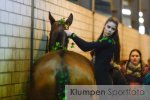 Reitsport - Dessur // ZRFV Hof Nienhaus - Karnevalsturnier