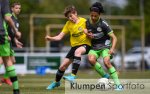 Fussball | D-Jugend | Saison 2021-2022 | Niederrheinliga | 9. Spieltag | DJK SF 97/30 Lowick - FC Niederrhein Soccer