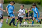 Fussball - Jugendturnier // Ausrichter VfL Rhede - F-Jugend