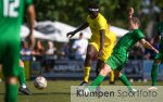 Fussball | Herren | Saison 2023-2024 | Landesliga | 06. Spieltag | SF 97/30 Lowick vs. PSV Wesel