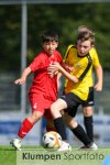 Fussball - Jugendturnier // Ausrichter VfL Rhede - REWE-Steverding-Cup