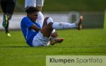 Fussball - Landesliga Gr. 2 // VfL Rhede vs. VfR Krefeld-Fischeln