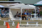 Fahrsport - Niederrheinischer Fahercup // Ausrichter FahrSF Dingdener-Heide