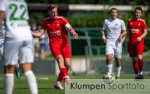 Fussball | Herren | Saison 2024-2025 | Landesfreundschaftsspiel | SV Biemenhorst vs. SpVg Schonnebeck