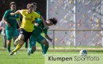 Fussball | Herren | Saison 2024-2025 | Landesliga | 04. Spieltag | SF 97/30 Lowick vs. VfB Speldorf