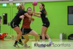 Handball - Landesliga Frauen // HSG Haldern-Mehrhoog-Isselburg vs. TSV Bocholt