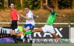 Fussball - Landesfreundschaftsspiel // BW Dingden vs. Hamminkelner SV